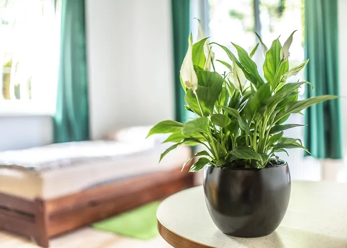 Z Parkingiem Daire *