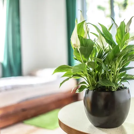 Z Parkingiem Lejlighed *